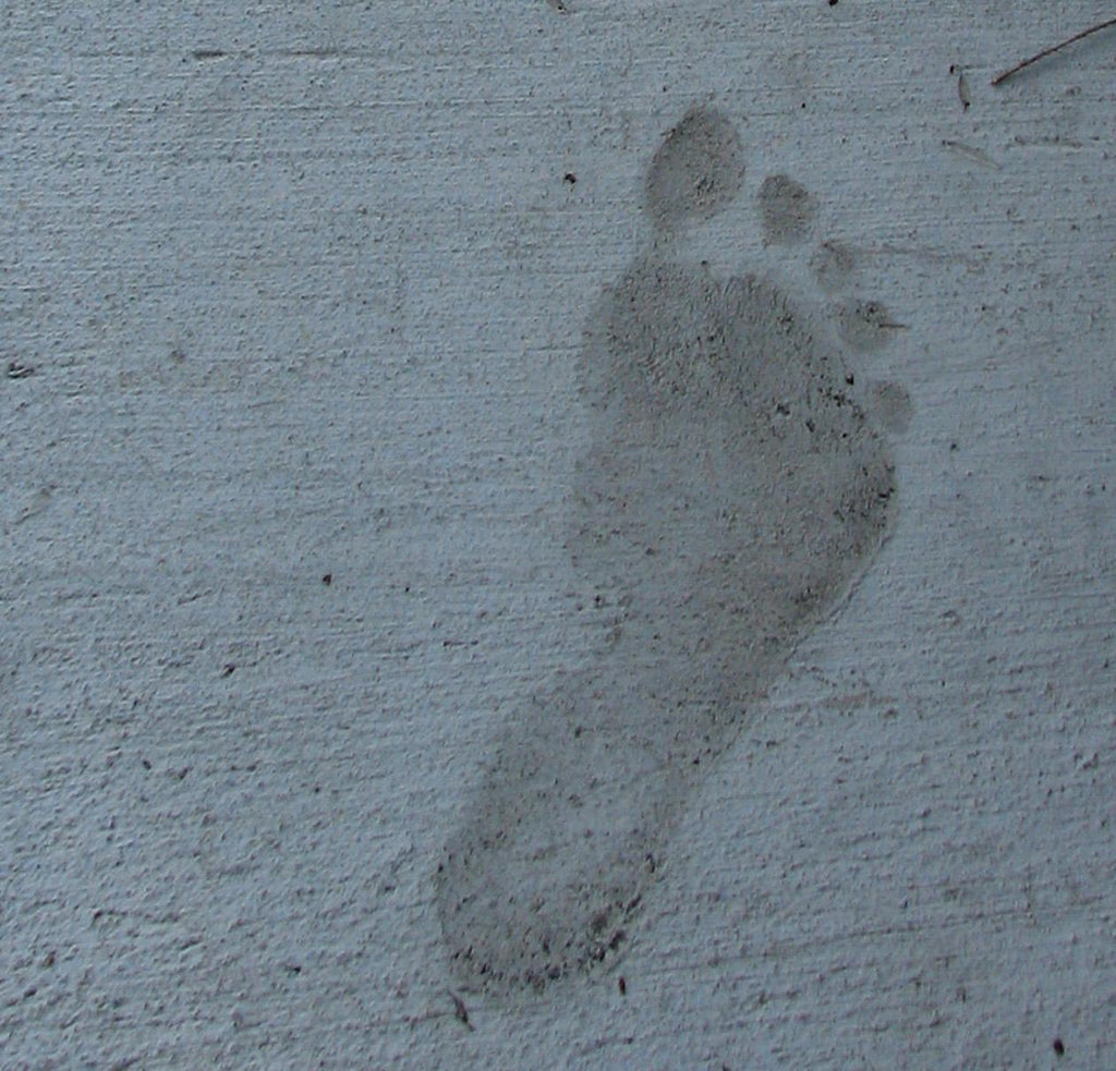 Watch Where You Step: Understanding Your Carbon Footprint